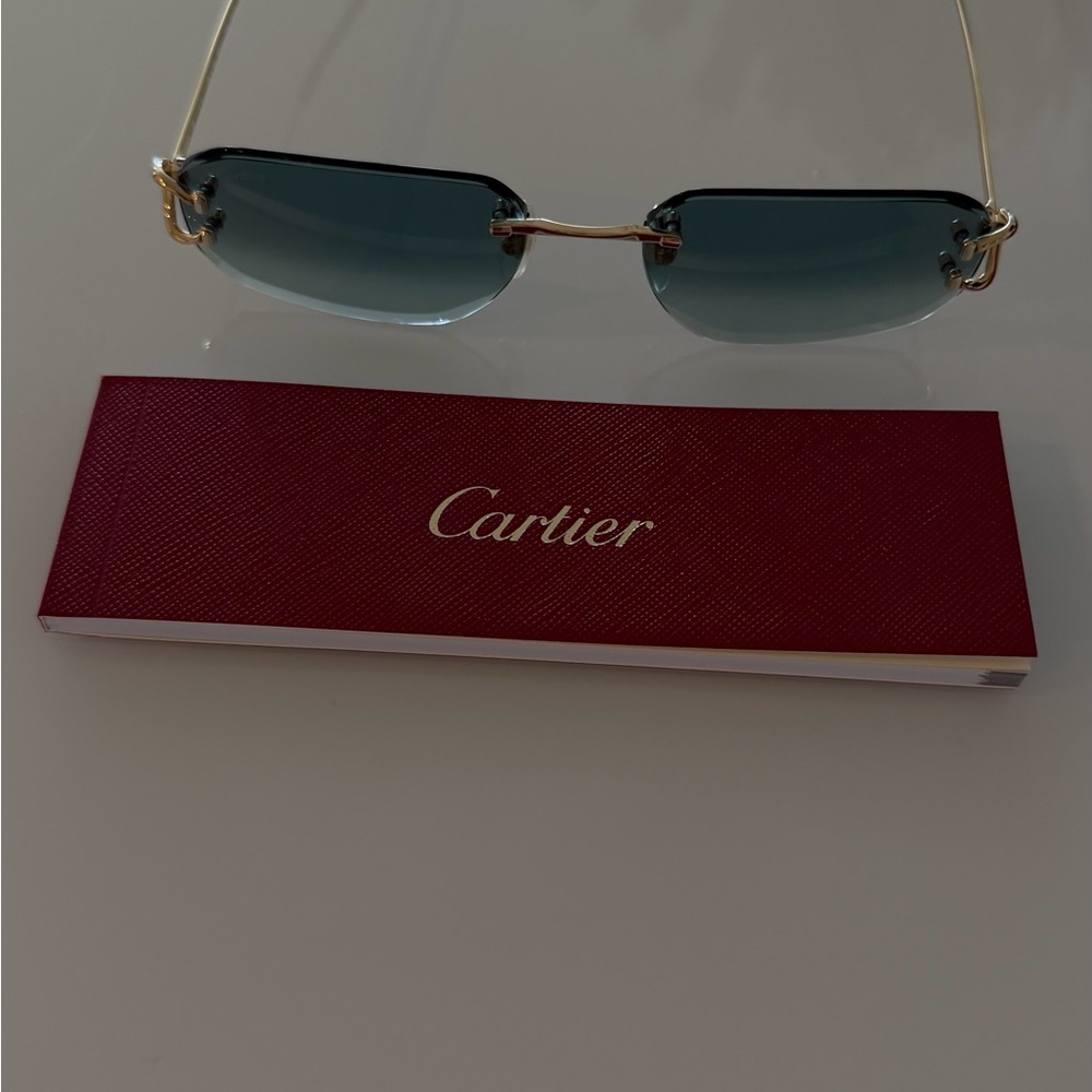 Cartier Blue and Gold Sunglasses - Picture 7 of 15